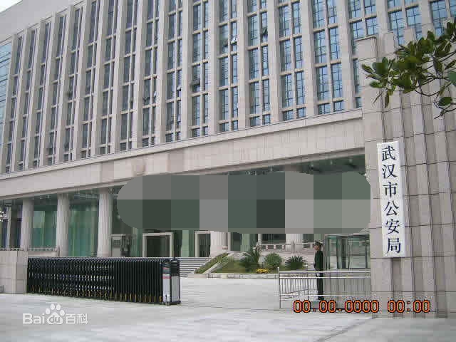 武漢市公安局110報警信息分析輔助決策系統監理項目